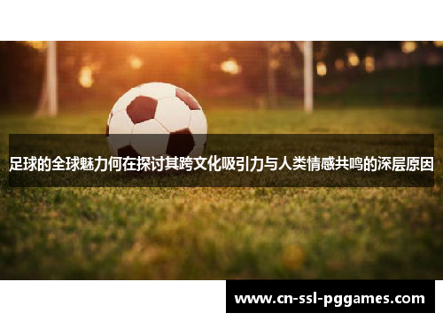 足球的全球魅力何在探讨其跨文化吸引力与人类情感共鸣的深层原因