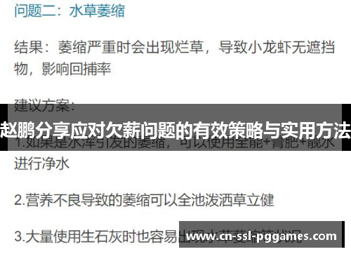 赵鹏分享应对欠薪问题的有效策略与实用方法 赵鹏分享应对欠薪问题的有效策略与实用方法