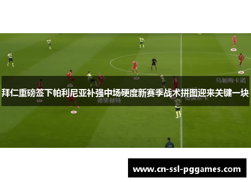 拜仁重磅签下帕利尼亚补强中场硬度新赛季战术拼图迎来关键一块