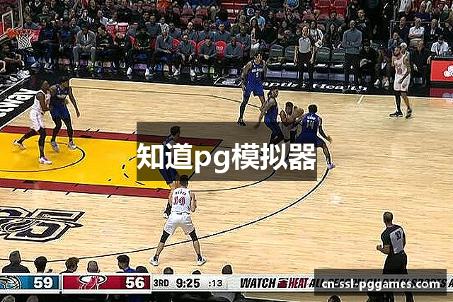 知道pg模拟器